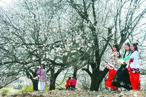 太阳成集团全球布局概念图